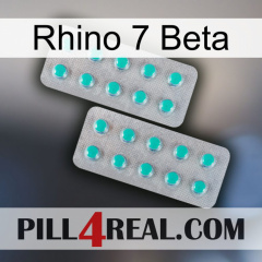 Rhino 7 Beta 29